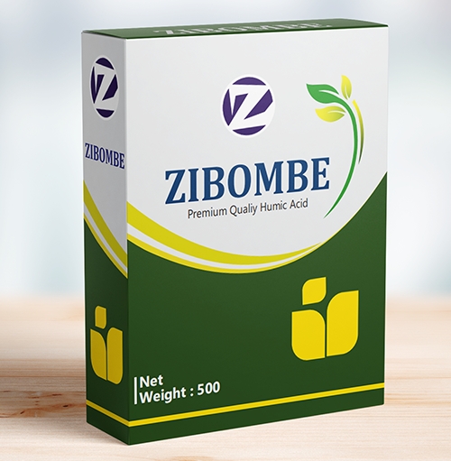 Seven Digi Solution – Top Digital Marketing Agency in Aurangabad