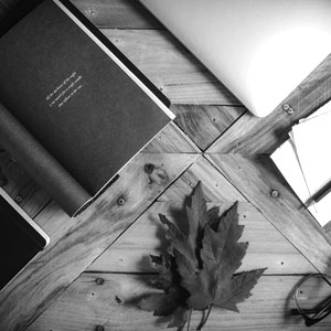 Seven Digi Solution – Top Digital Marketing Agency Aurangabad