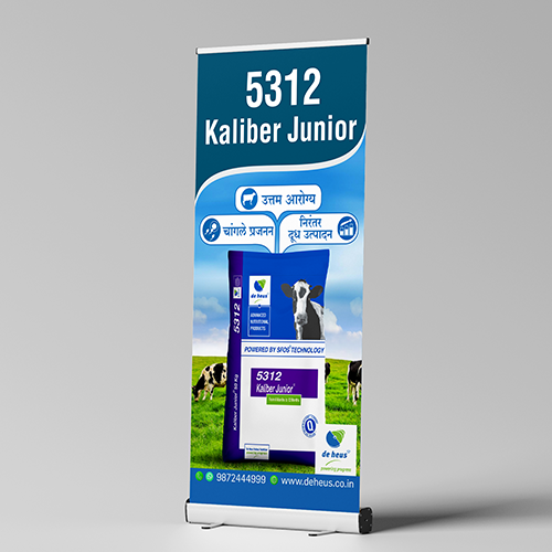 Seven Digi Solution – Top Digital Marketing Agency in Aurangabad