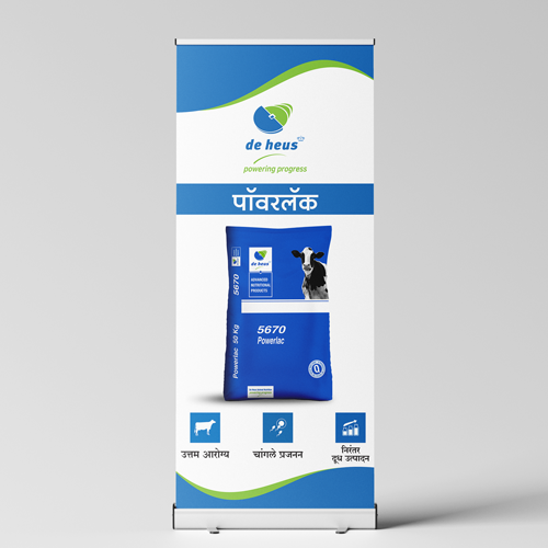 Seven Digi Solution – Top Digital Marketing Agency in Aurangabad