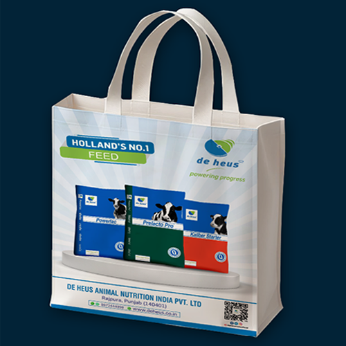 Seven Digi Solution – Top Digital Marketing Agency in Aurangabad